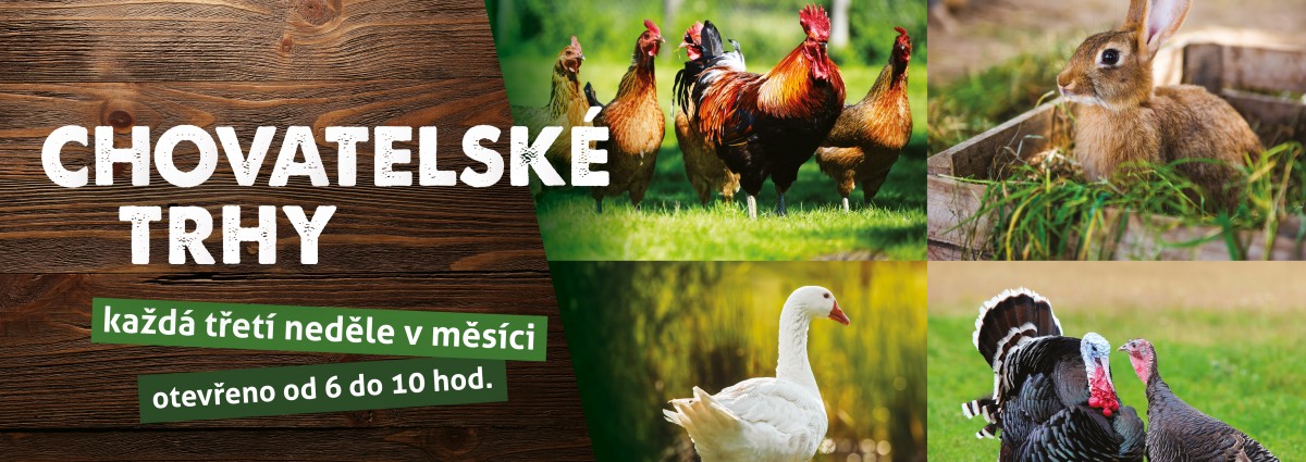 Chovatelské trhy - červenec