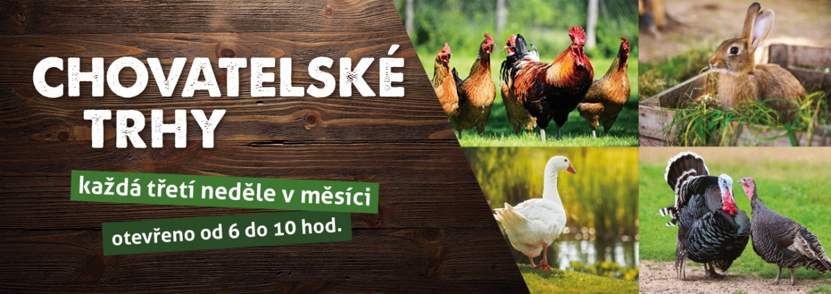Chovatelské trhy - červenec