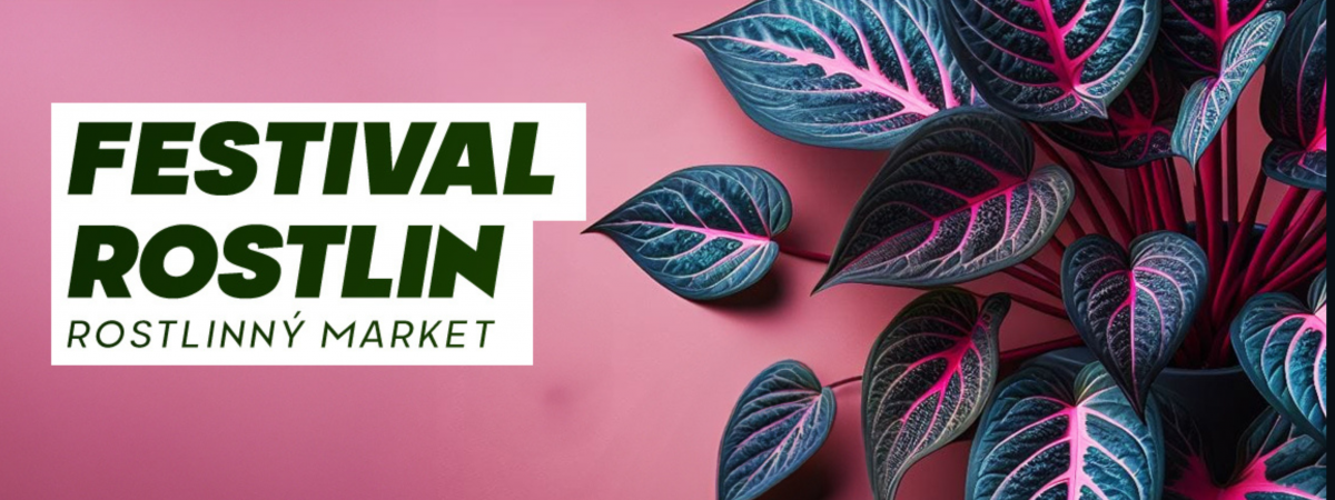 Festival Rostlin