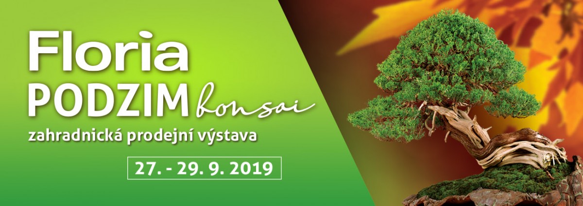 FLORIA PODZIM 2019 BONSAJ