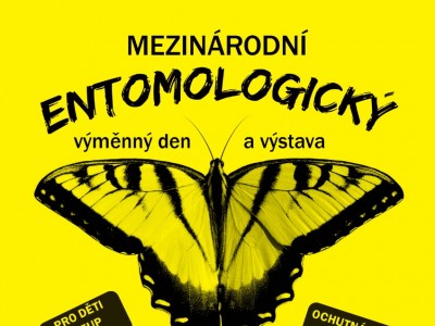 20210809_letacek_A6_10-21_entomo