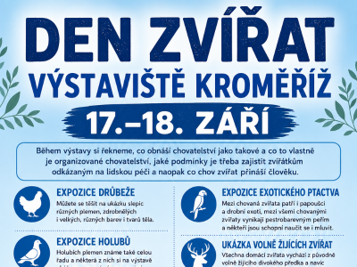 Druhá_strana_detail