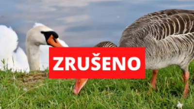 Chovatelské trhy - březen