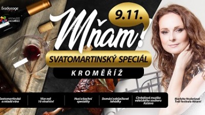 MŇAM! GASTROFESTIVAL - SVATOMARTINSKÝ SPECIÁL
