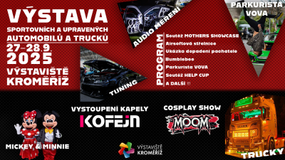 Výstava sportovních a upravených aut 
